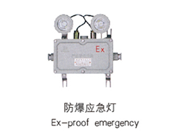 防爆應(yīng)急燈